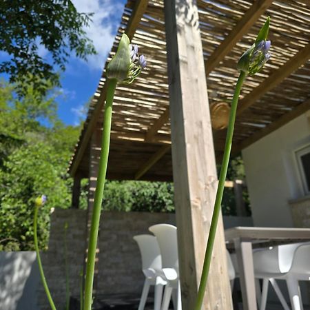 Petite Maison - Porto-Vecchio Exterior foto