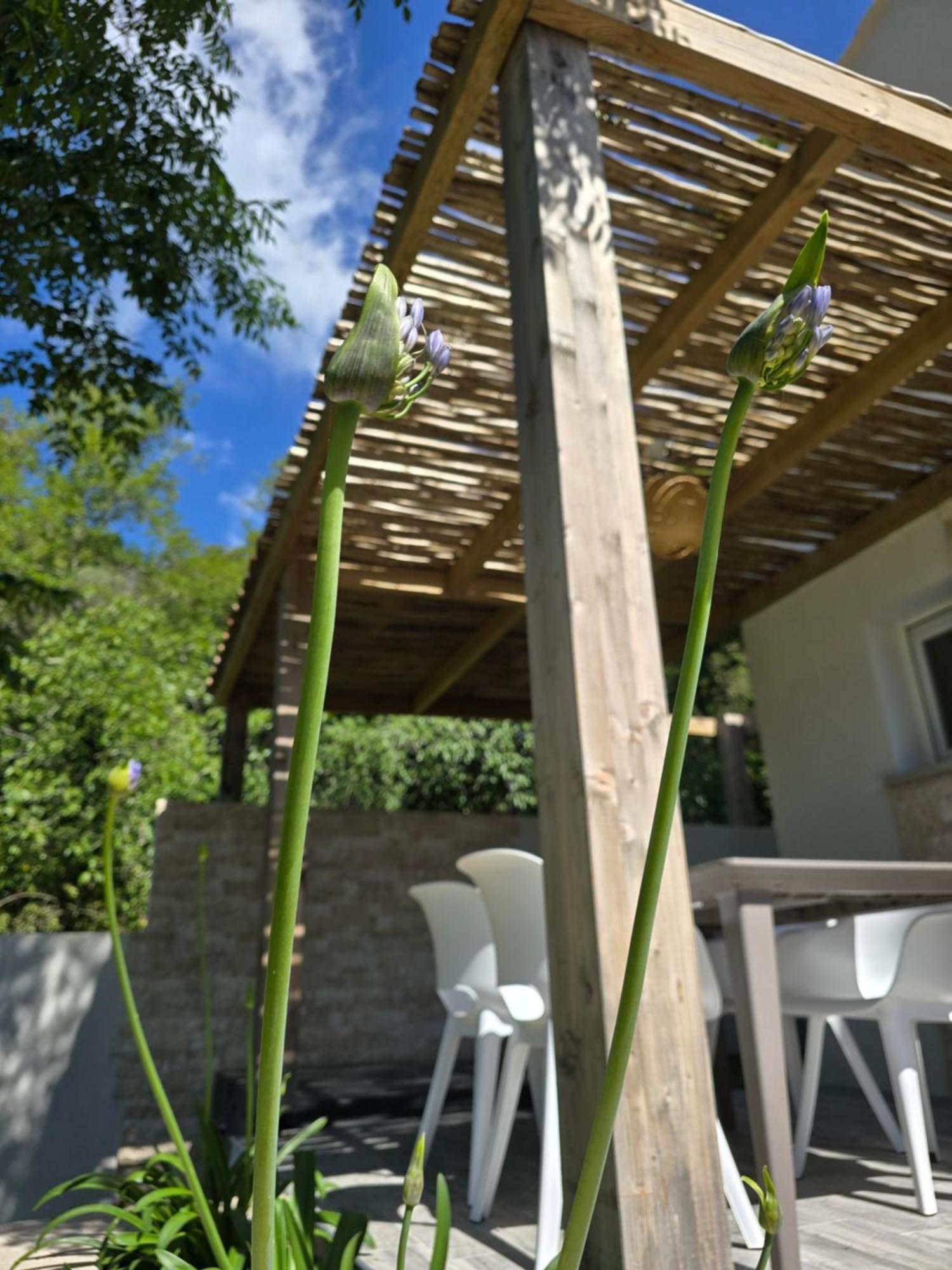 Petite Maison - Porto-Vecchio Exterior foto